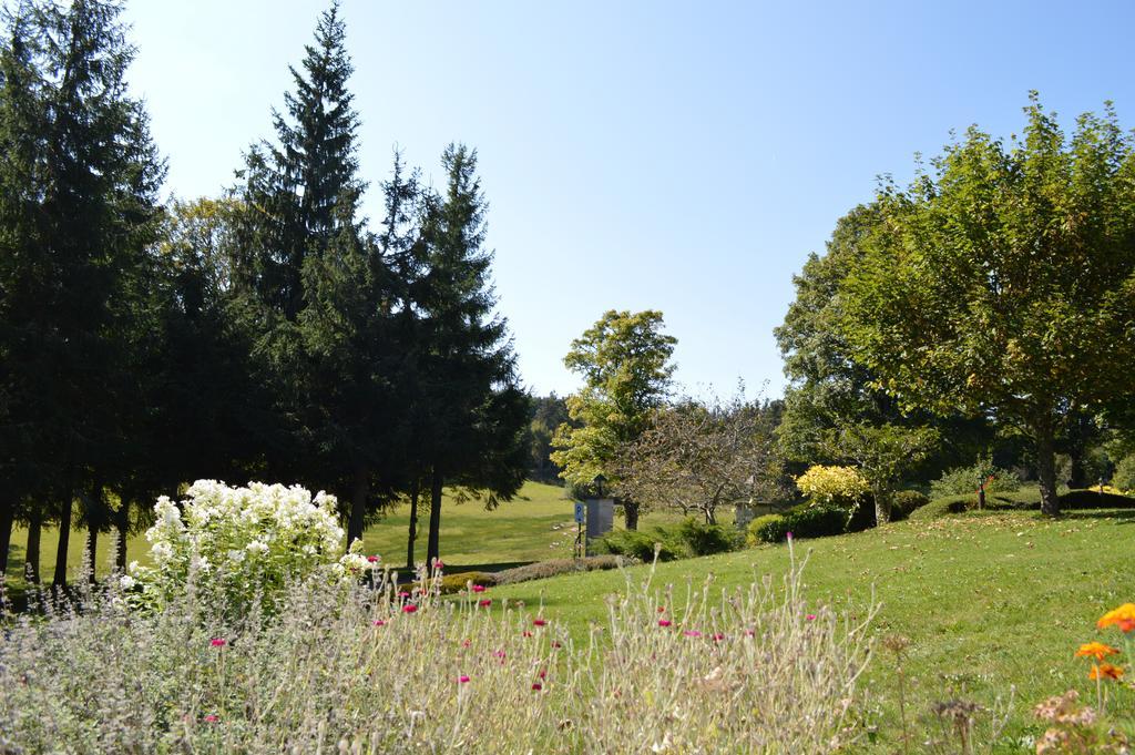 Logis Hotel Le Relais Du Bois Vialotte Le Chambon-sur-Lignon Buitenkant foto