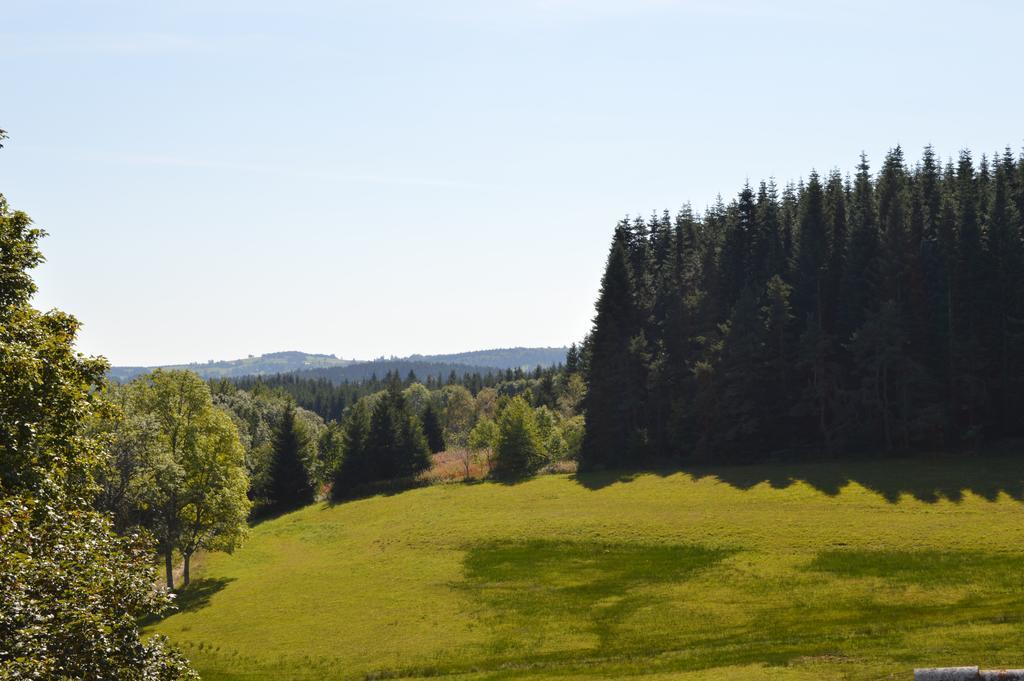 Logis Hotel Le Relais Du Bois Vialotte Le Chambon-sur-Lignon Buitenkant foto