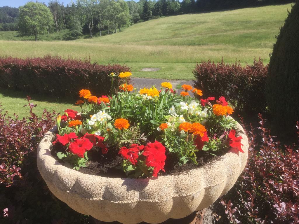 Logis Hotel Le Relais Du Bois Vialotte Le Chambon-sur-Lignon Buitenkant foto